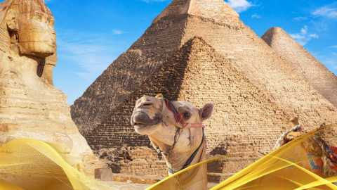 2026 cairo city break 31 05 N IN39