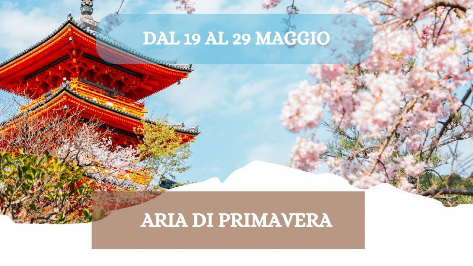 2026 W giappone aria di primavera 19 05 26 IN39