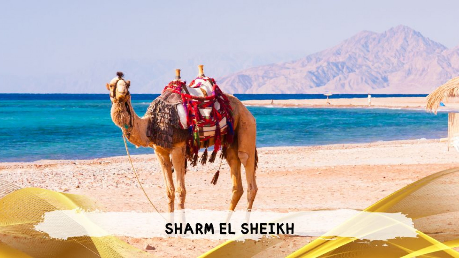 2026 sharm el sheikh da roma queen T IN39