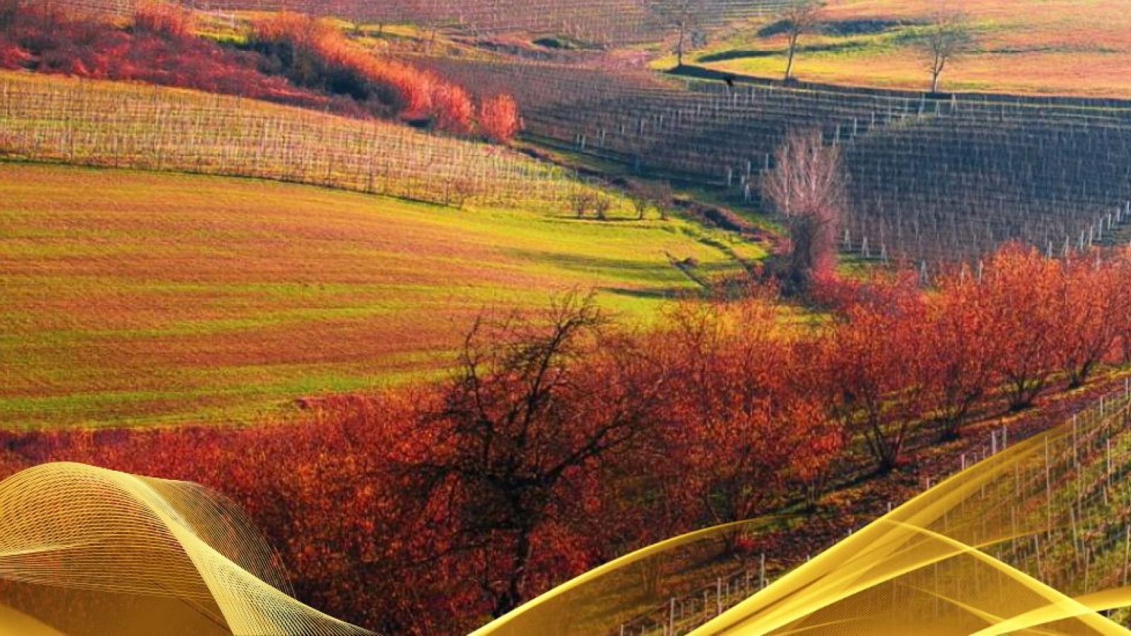 2026 W torino e le langhe 30 05 IN39