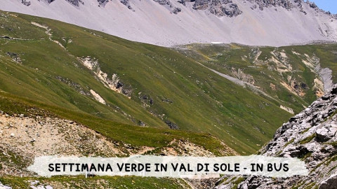 2026 W settimana verde val di sole 29 08 IN39