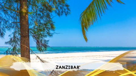 2026 zanzibar 11 08 T IN39